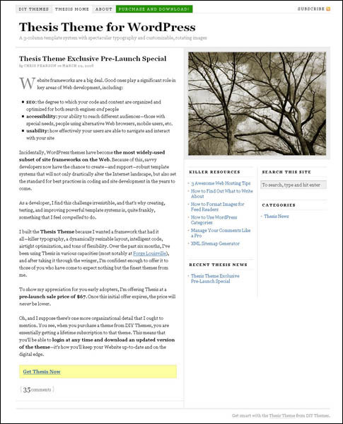 Thesis Theme