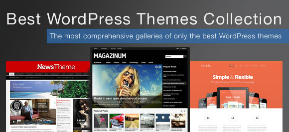 best wordpress themes