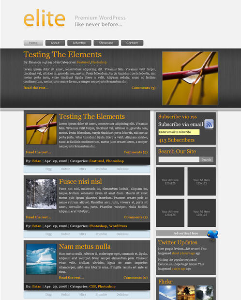 elite-theme Elite Premium WordPress Theme