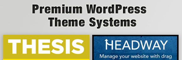 best-wordpress-theme-systems wordpress theme systems