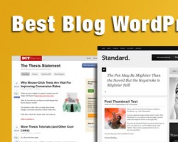best blog wordpress themes