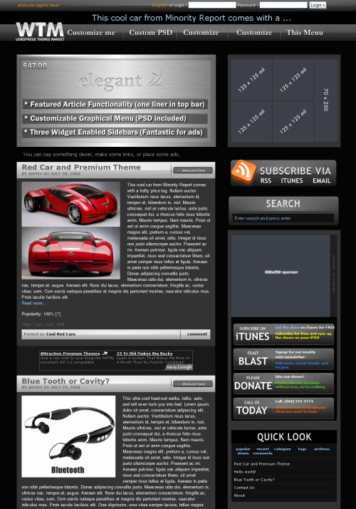 elegant-theme Elegant WordPress Theme