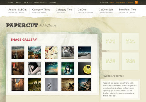 papercut-theme-gallery Paper cut premium wordpress theme
