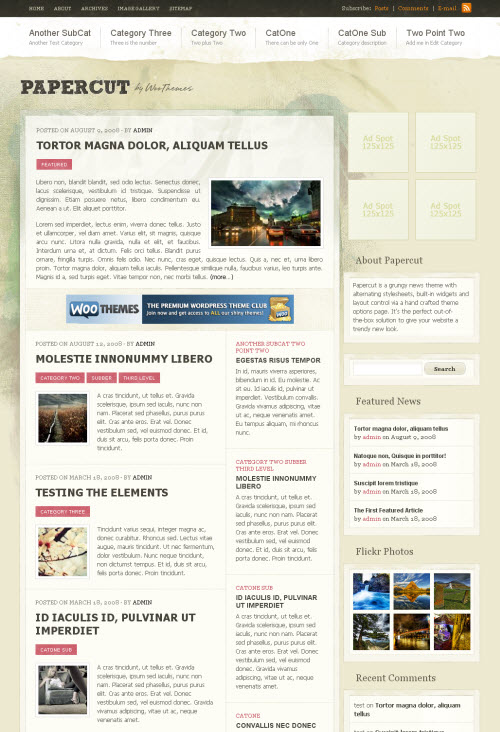 papercut-theme Papercut wordpress theme