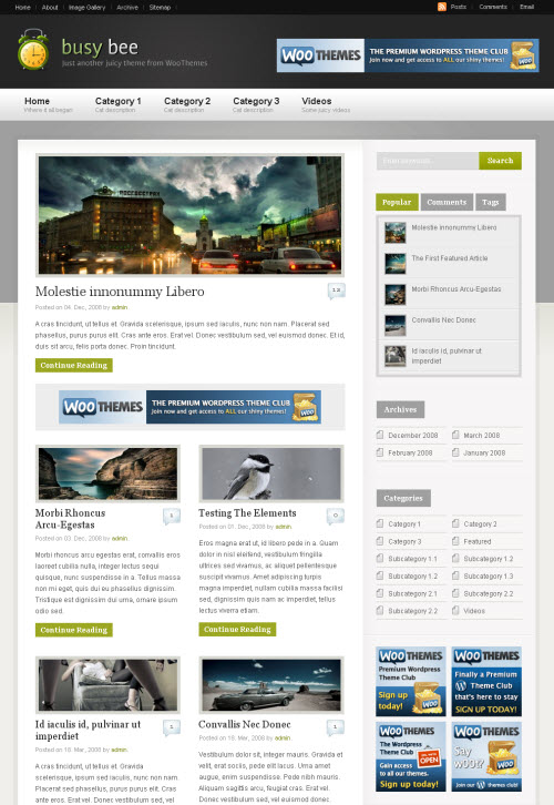 wordpress themes