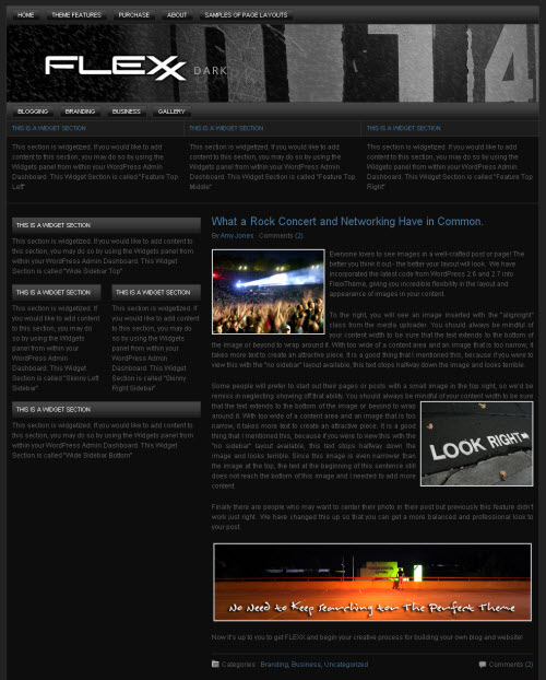 flexx-dark Flexx Theme Dark