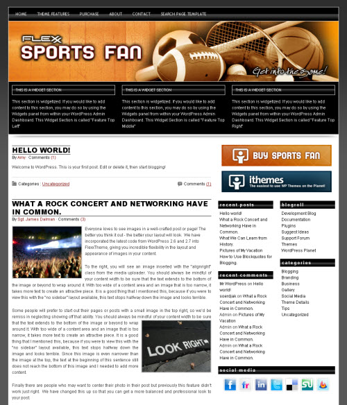 flexx-sports-fan Flexx Theme Sports Fan