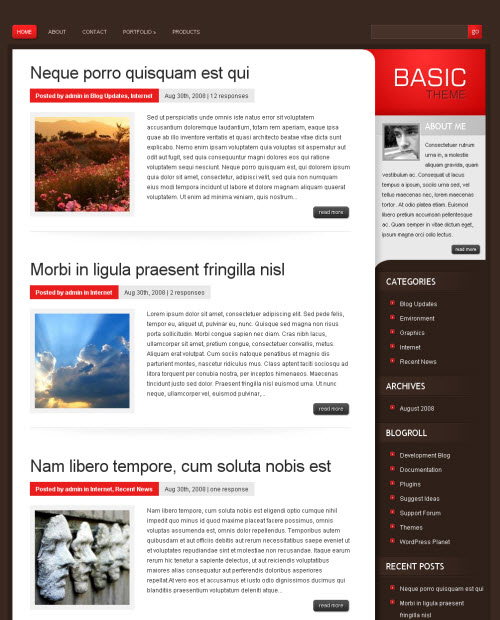 basic-wordpress-theme basic wordpress theme