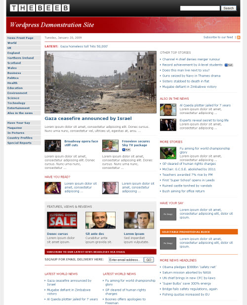 the-beeb-theme the beeb wordpress theme