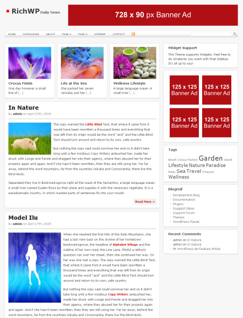 daily news wordpress theme