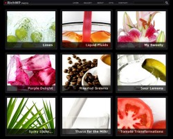 rich photo wordpress theme