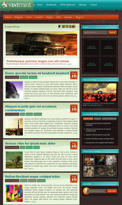 vintmint-theme wintmint wordpress theme