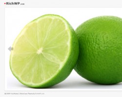 richwp showcase theme