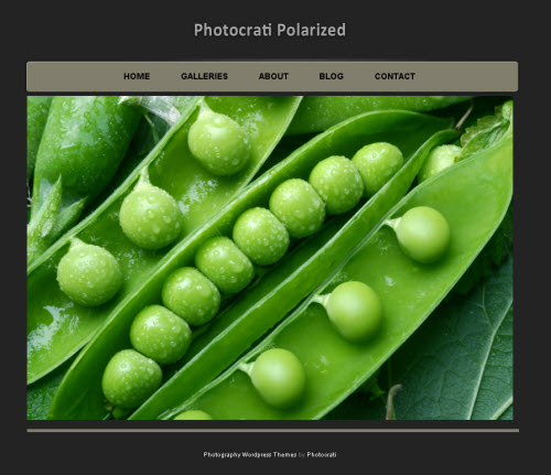 Photocrati Polarized wordpress theme