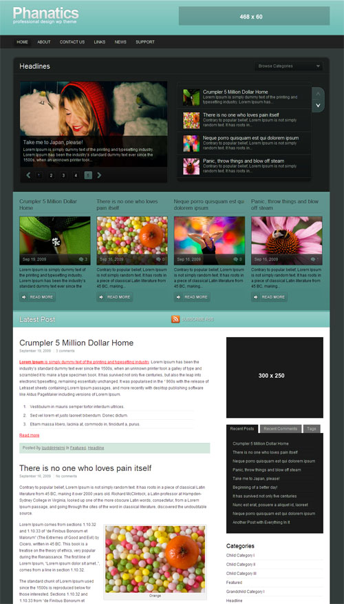 phanatics-wordpress-theme Phanatics Premium WordPress Theme