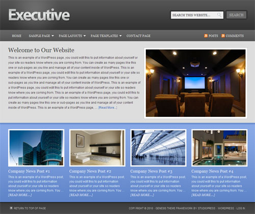 executive-child-theme executive child theme
