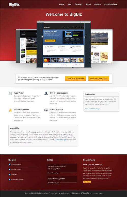 bigbiz-dont-steal-this-image-im-watching-you big biz wordpress theme