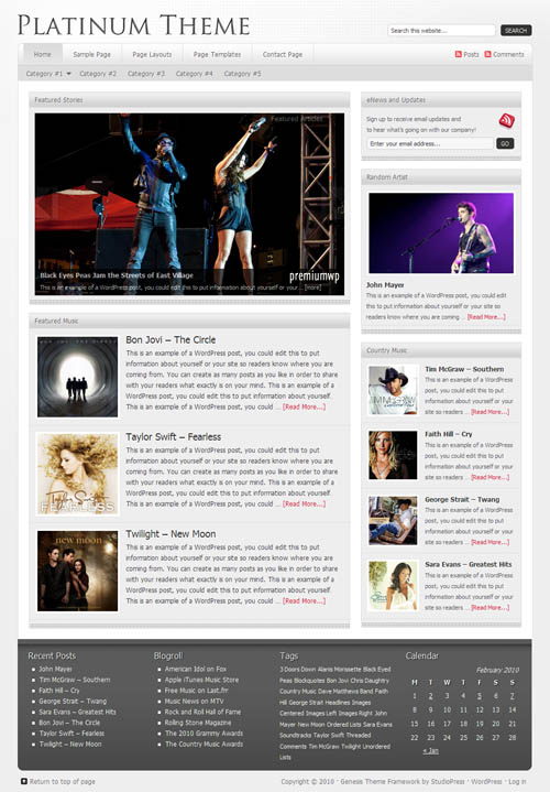platinum-wordpress-theme platinum wordpress theme