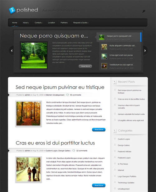 polished-wordpress-theme polished wordpress theme