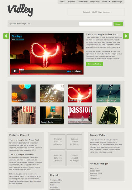 vidley wordpress theme