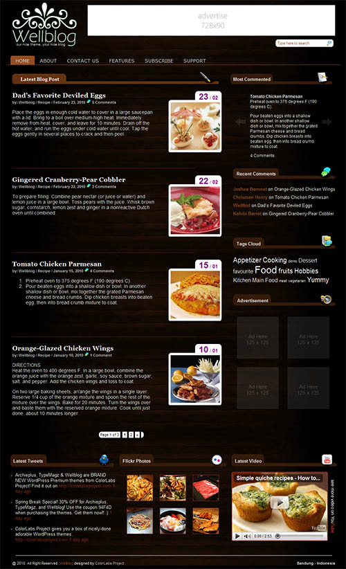 Wellblog Premium WordPress Theme