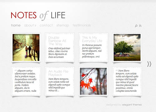 dailynotes wordpress theme