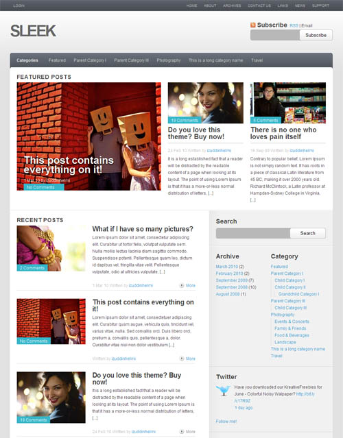 sleek wordpress theme