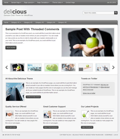 Delicious Premium WordPress Theme