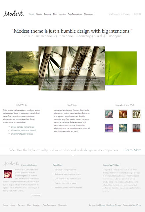 modest-premium-wordpress-theme modest wordpress theme