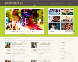 Narcilicious Photo Album WordPress Theme
