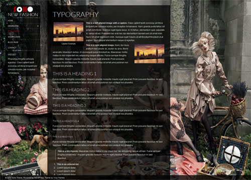 Soho WordPress Theme