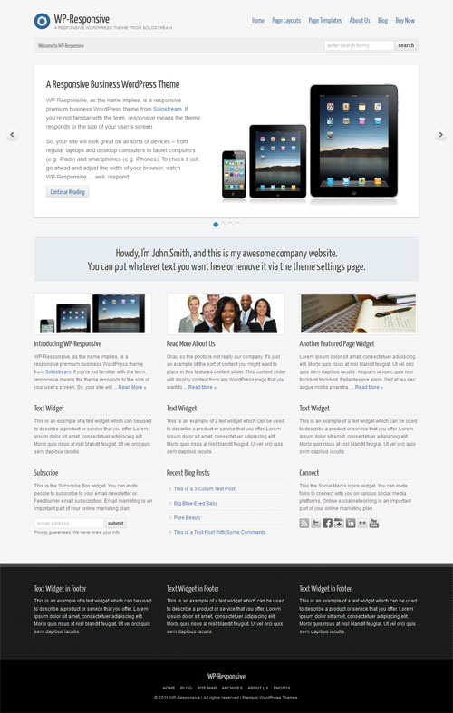 wp-responsive-theme WP Responsive Premium WordPress Theme