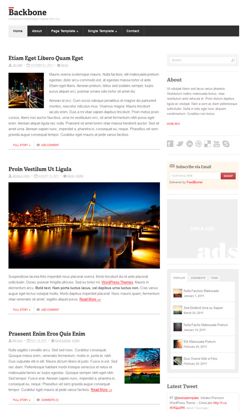 backbone-theme-1 backbone theme framework