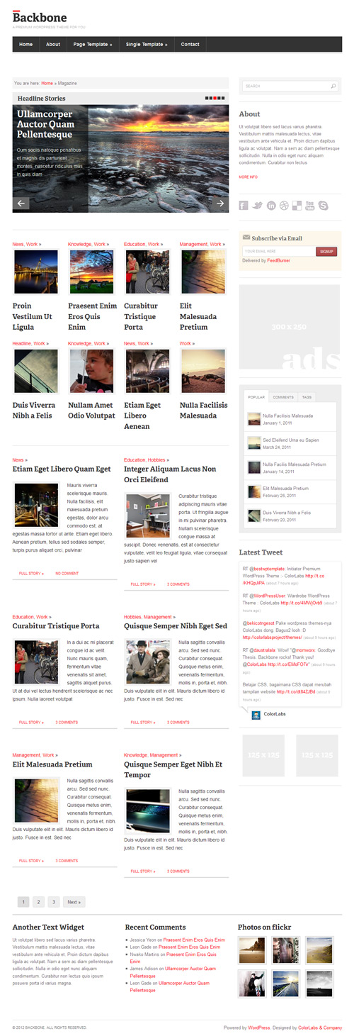 backbone-theme-2 backbone magazine layout