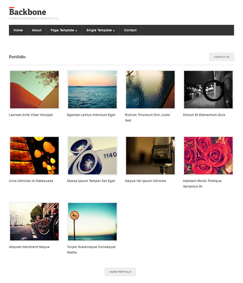 backbone-theme-4 portfolio layout