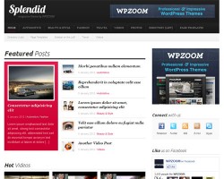 Splendid Magazine WordPress Theme