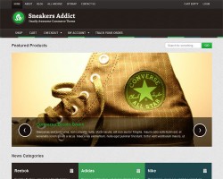 WordPress Ecommerce Theme