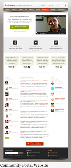 community website