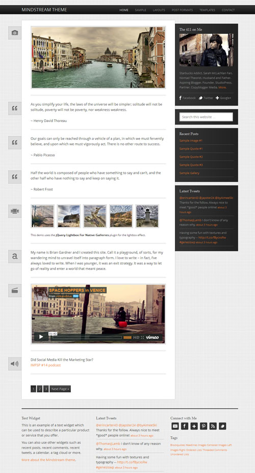 Responsive Lifestream WordPress Theme