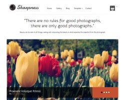 Responsive Photography Portfolio WordPress Theme