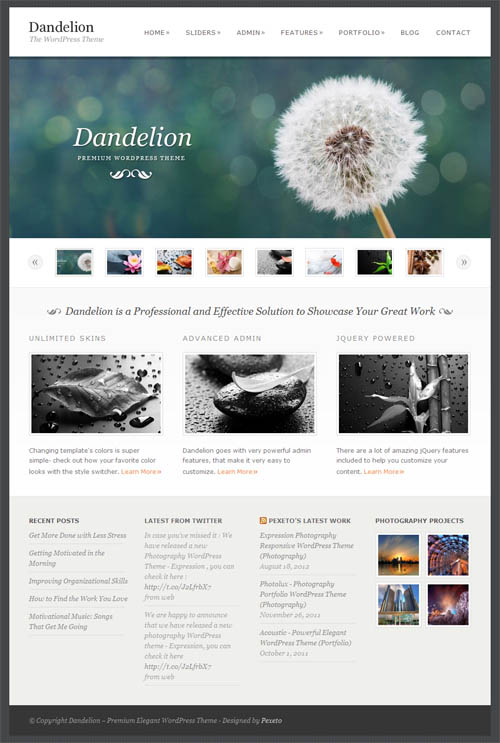 dandelion