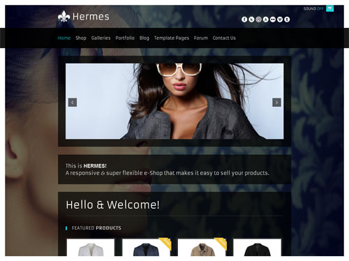hermes hermes