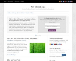 WP Professional
