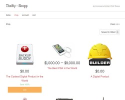 Thrifty Responsive Ecommerce WordPress Theme