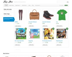 Bizz Store Responsive Ecommerce WordPress Theme