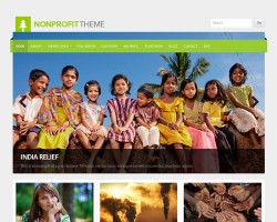 Non Profit WordPress Theme