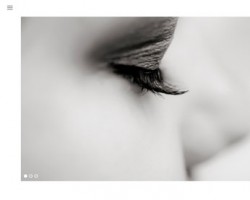 the gallery theme