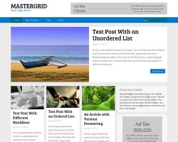 Master Grid Premium WordPress Theme