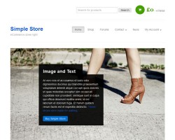 Simple Store Responsive WordPress Theme