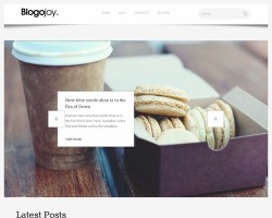 blogojoy